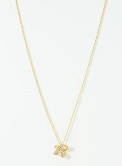 Ajani chain