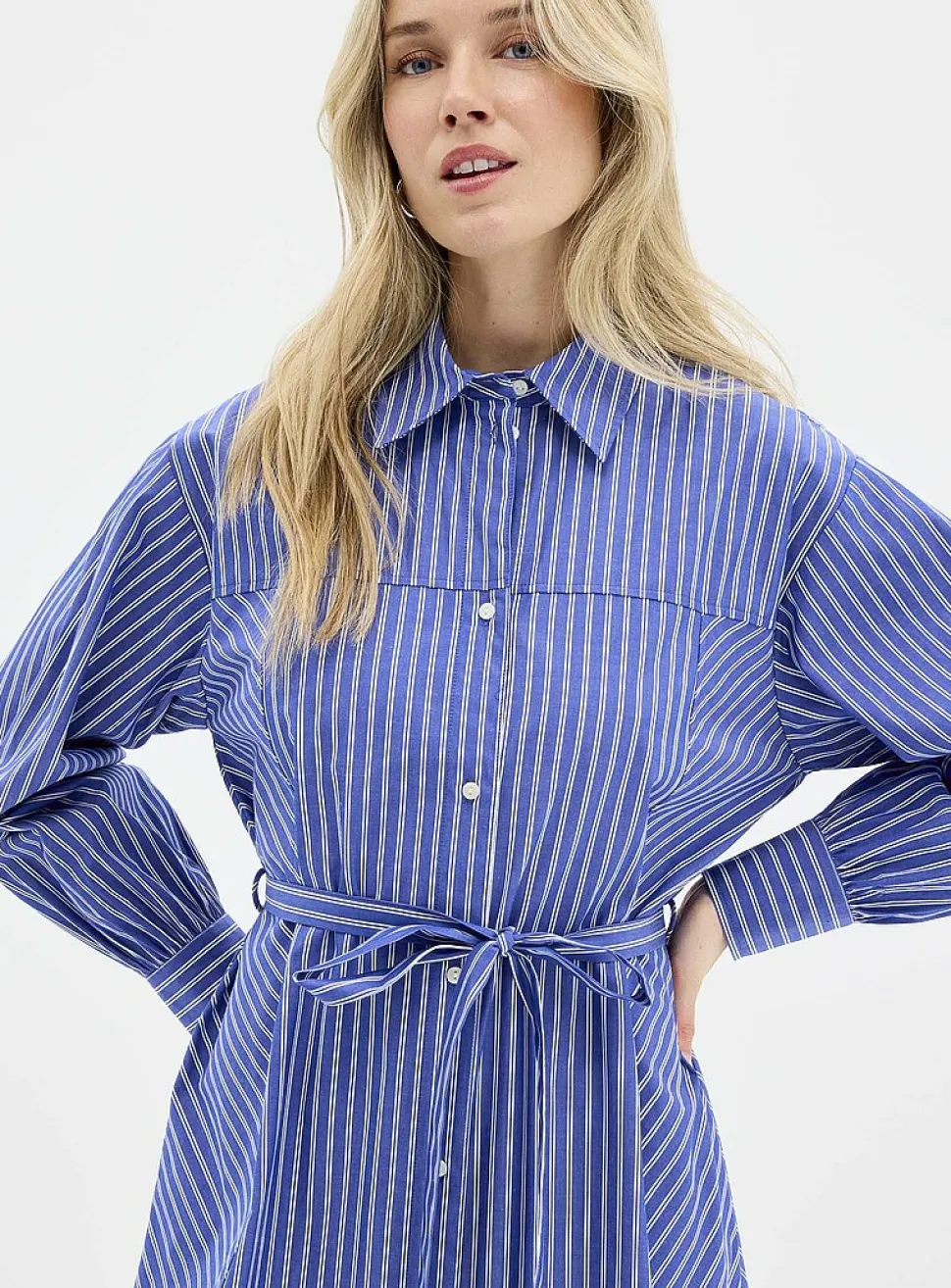 Calken striped chambray shirtdress