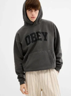 Collegiate pigment hoodie