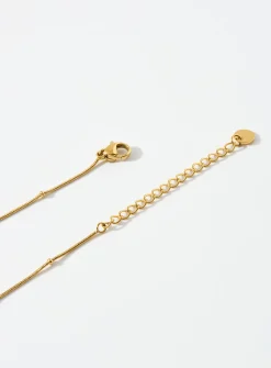 Fish skeleton chain