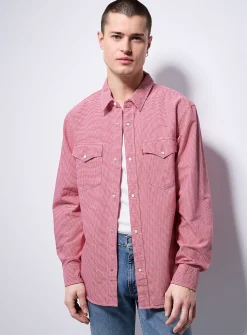 Gingham Western shirt