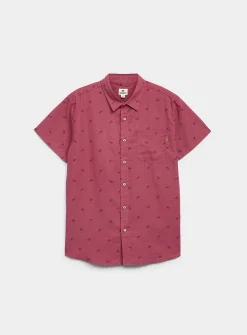 Little bicycle shirt