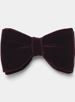 Oversized rich velvet bow tie