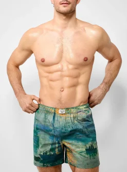 Poetic painting poplin boxer