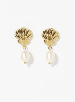 Pretty seashell earrings