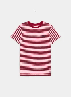 Small embroidery striped T-shirt