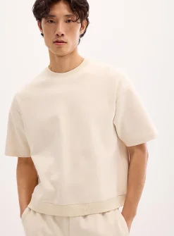 Structured jersey short-sleeve sweatshirt